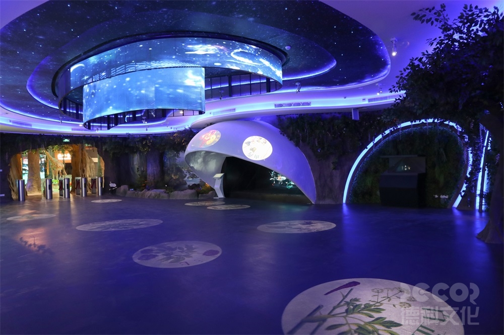 展館設(shè)計(jì)公司如何進(jìn)行設(shè)計(jì)的品牌合作？